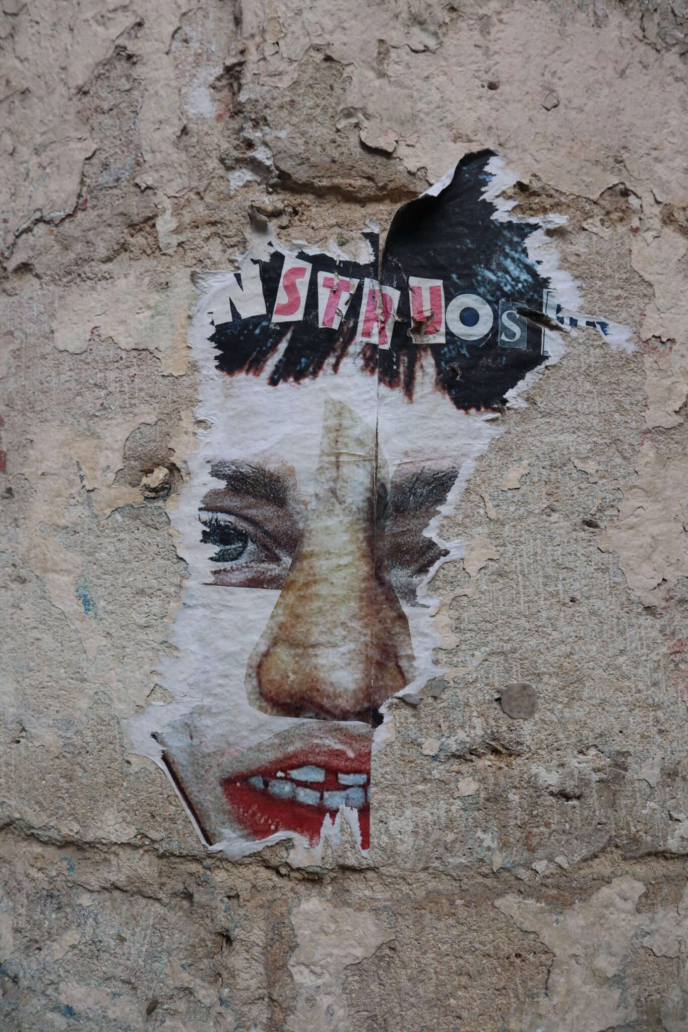 “[...]nstruos[...]”. Ce reste de collage survit sur un mur près de la place Camille Jullian, à Bordeaux. Il représente le collage d’un visage humain et semble inviter le ou la passant·e à questionner son humanité. Le street art tire ses origines de plusieurs courants, comme par exemple au Mexique, où de nombreuses peintures murales apparaissent après la révolution de 1910.