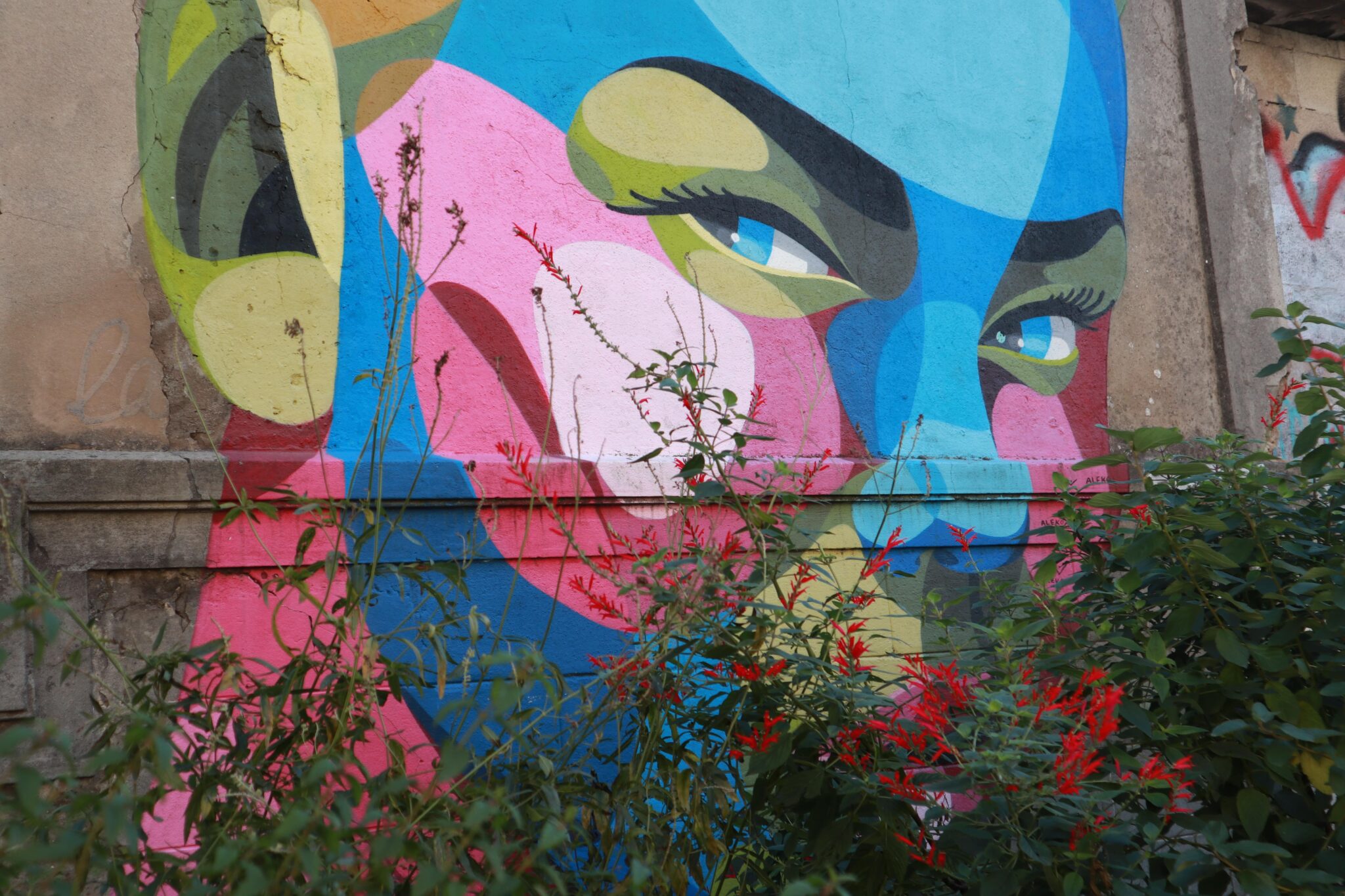 Un autre visage de l’artiste Alber. Cachée derrière les arbustes et les fleurs rouges, cette fresque se situe rue Kléber à Bordeaux et fait partie du grand nombre d’œuvres urbaines qui recolorent ce quartier délabré. Alber expose ses personnages sur des façades dégradées, comme pour mettre en avant à la fois l’état du quartier et la présence de ses habitants.