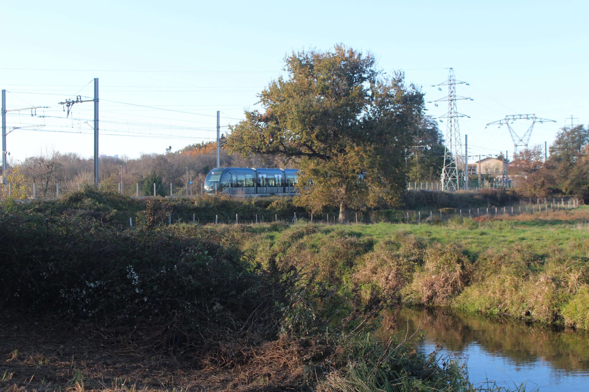 La réserve des Marais de Bruges se situe au nord de la métropole bordelaise, à environ 2 kilomètres de la Garonne, et est ancrée dans la commune de Bruges, aussi connue pour son importante industrialisation. Au 20ème siècle, le marais, qui s’étendait sur 3000 hectares, a été détruit à 90 % par l’urbanisation galopante des alentours, dont l’emprise des voies de chemin de fer, visible ici, est un exemple.